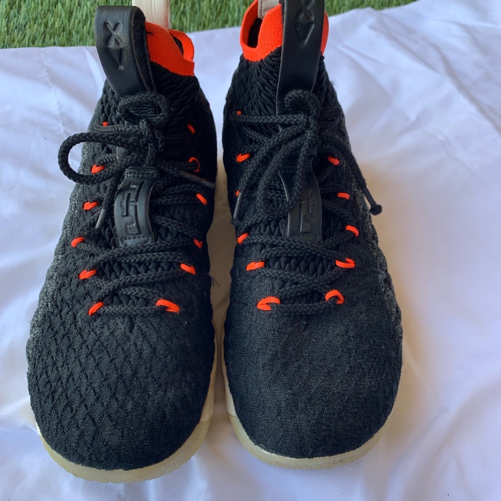 Labrons - Picture 2 of 3